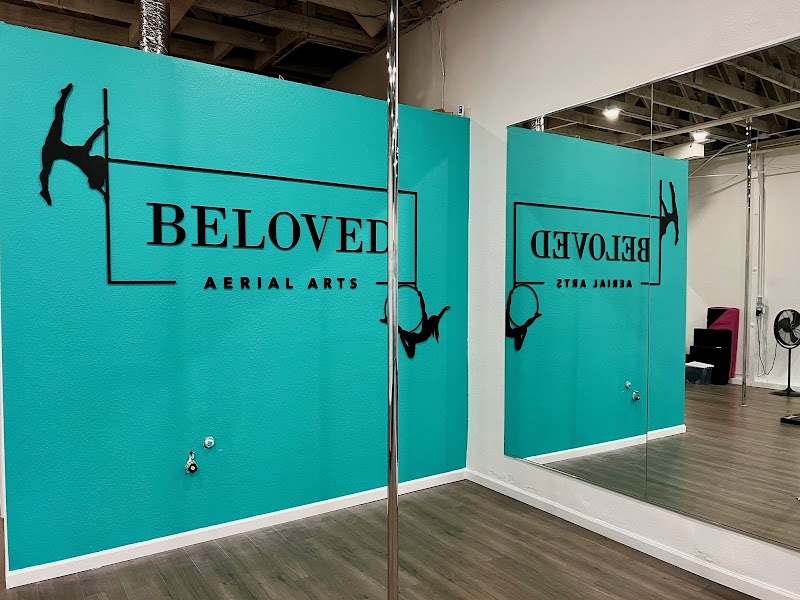 Beloved Aerial Arts photo 3