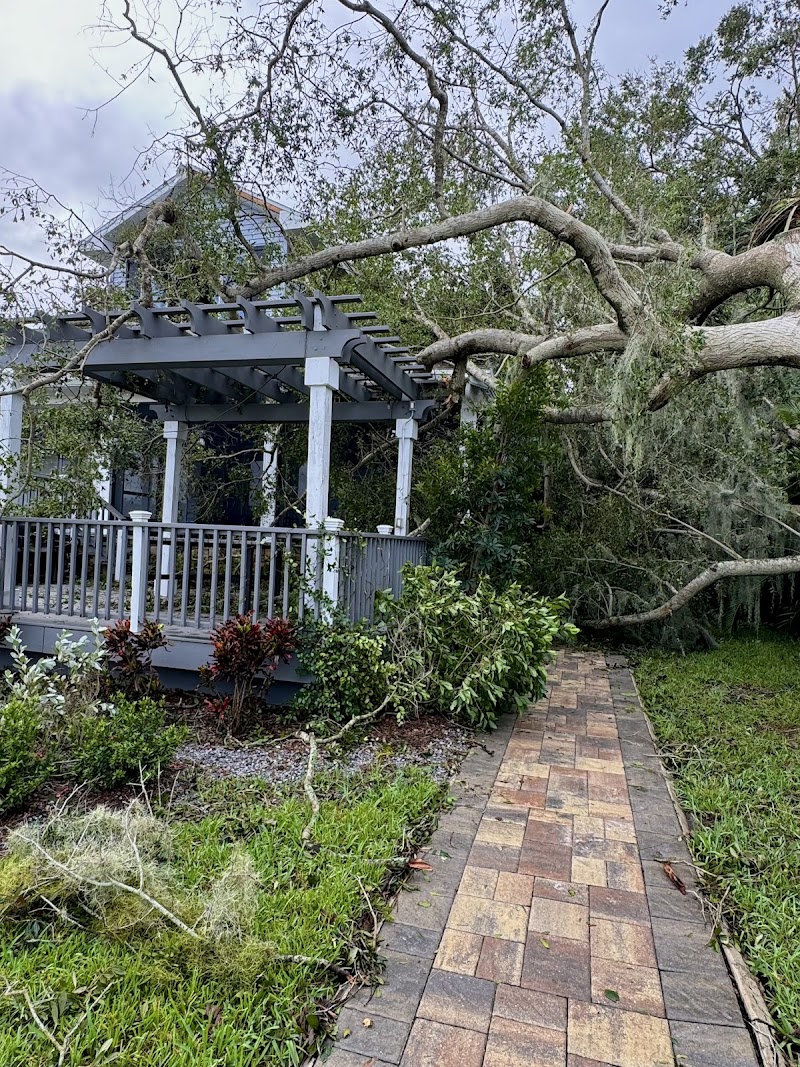 JS Complete Tree Service | In Riverview FL photo 2