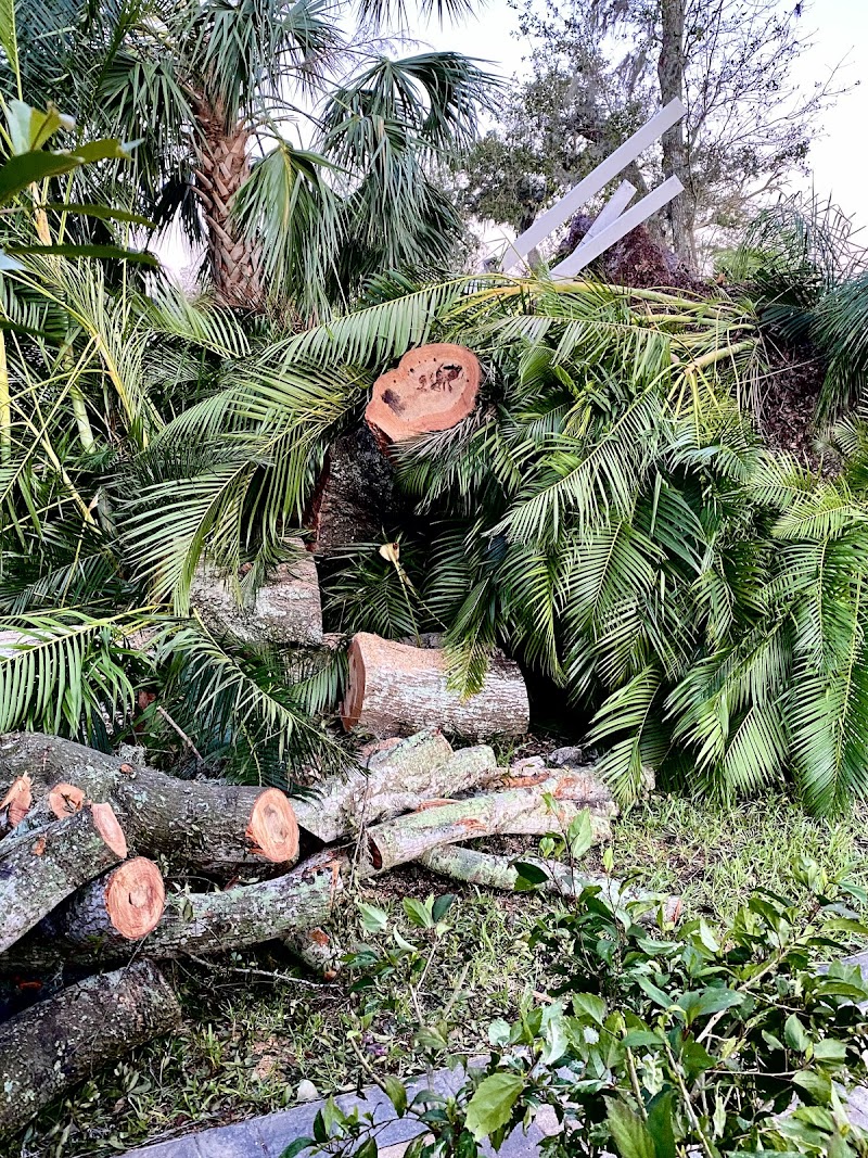 JS Complete Tree Service | In Riverview FL photo 3