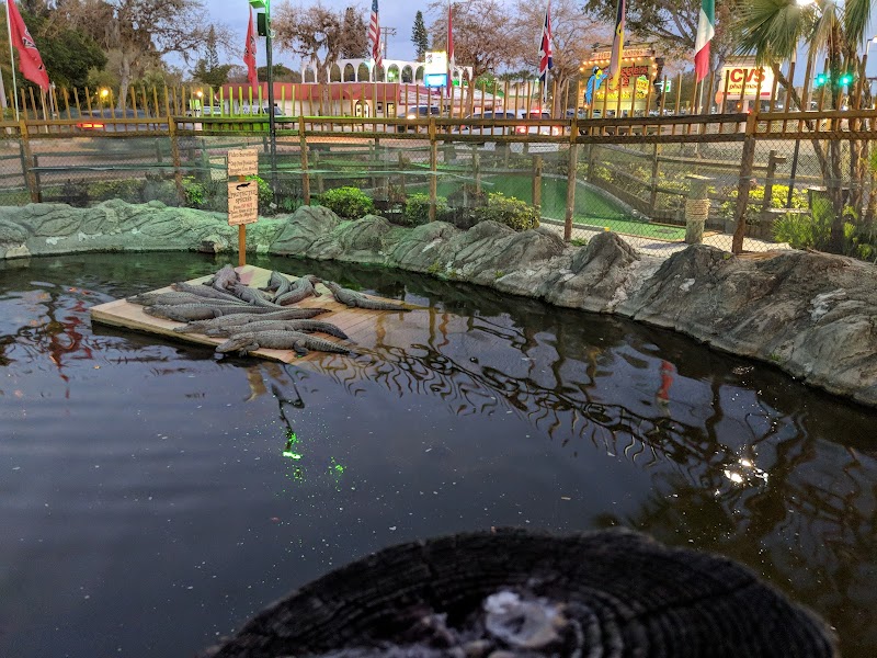 Photo of Smugglers Cove Adventure Golf
