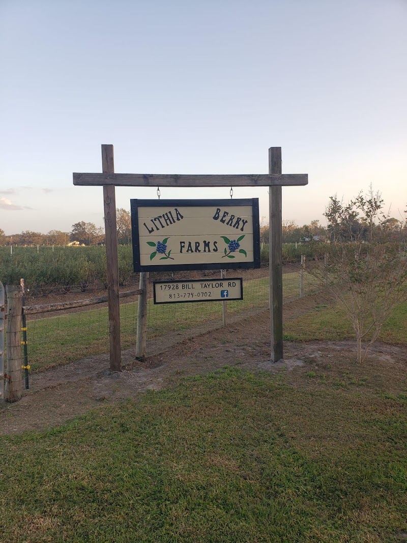 Lithia Berry Farms photo 3