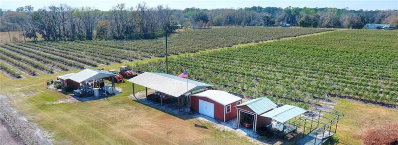Photo of Lithia Berry Farms