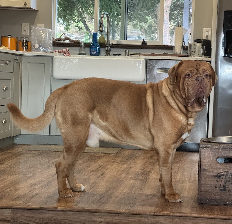 Bowie Barker Livermore photo 2