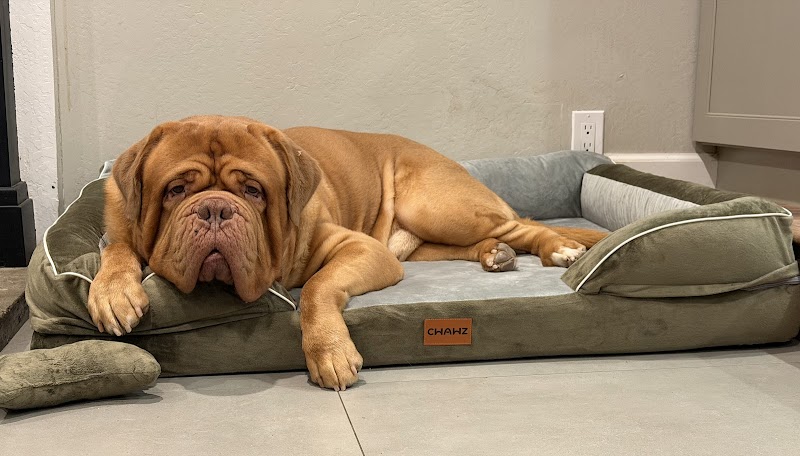 Bowie Barker Livermore photo 3