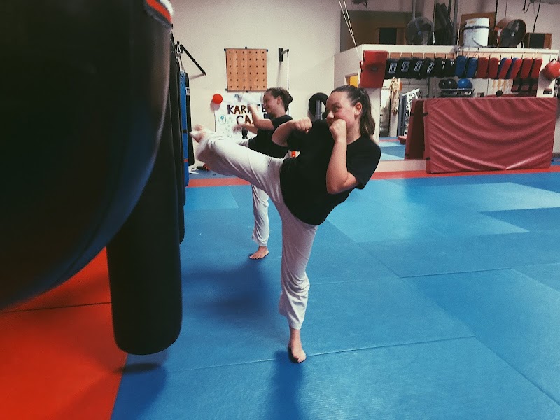 Bay Area Martial Arts Academy photo 2