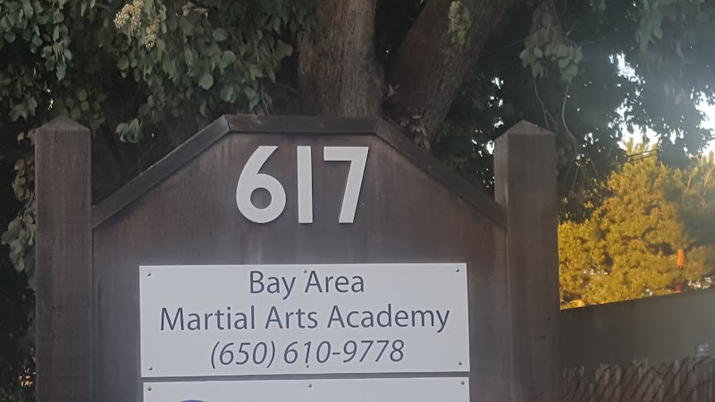 Bay Area Martial Arts Academy photo 4