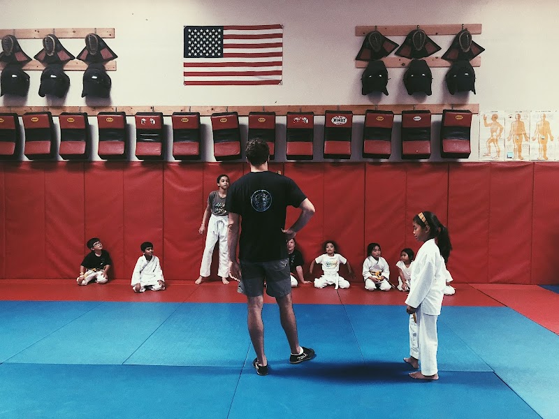 Bay Area Martial Arts Academy photo 3