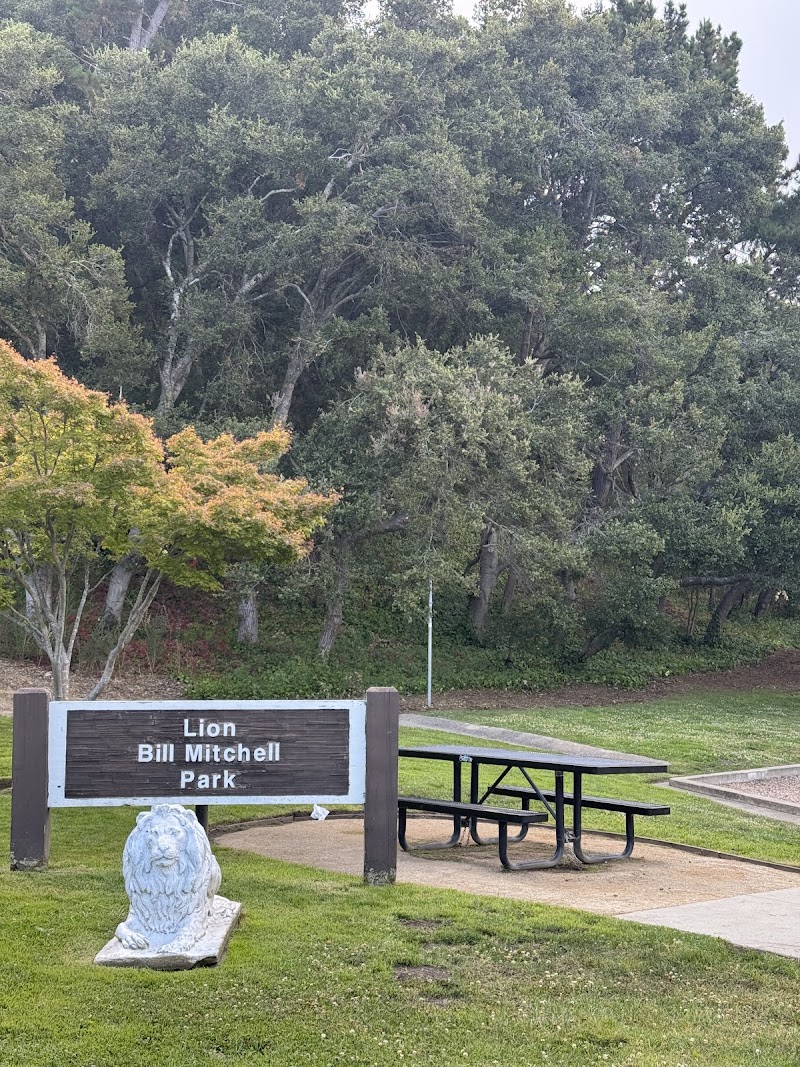 Lion Bill Mitchell Park photo 4