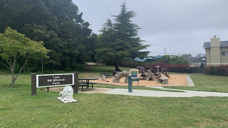 Photo of Lion Bill Mitchell Park