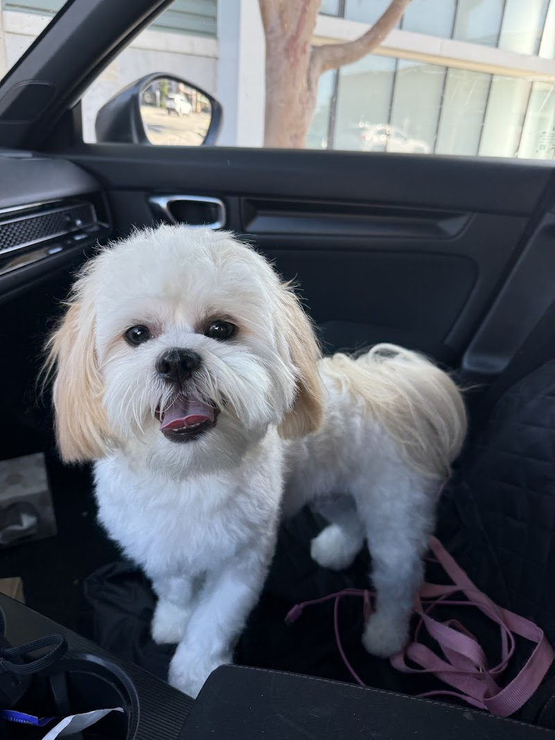 Woof Gang Bakery & Grooming Pacific Commons photo 5