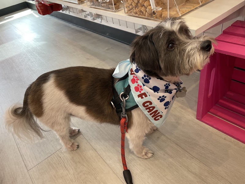 Woof Gang Bakery & Grooming Pacific Commons photo 3