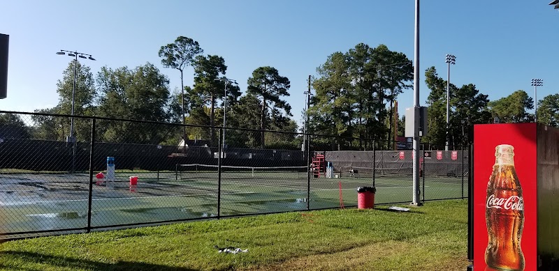 Yvette Girouard Field at Lamson Park photo 3