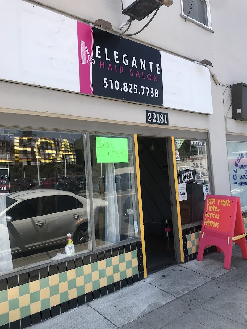 Ana Elegante Hair Salon photo 2