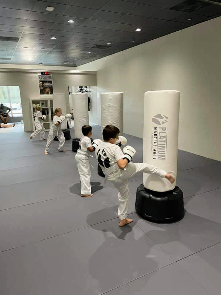 PLATINUM MARTIAL ARTS KICKBOXING OLDSMAR photo 4