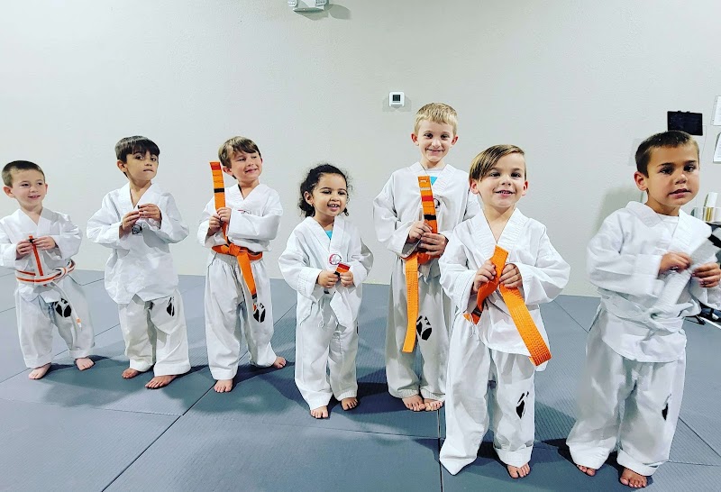 PLATINUM MARTIAL ARTS KICKBOXING OLDSMAR photo 3