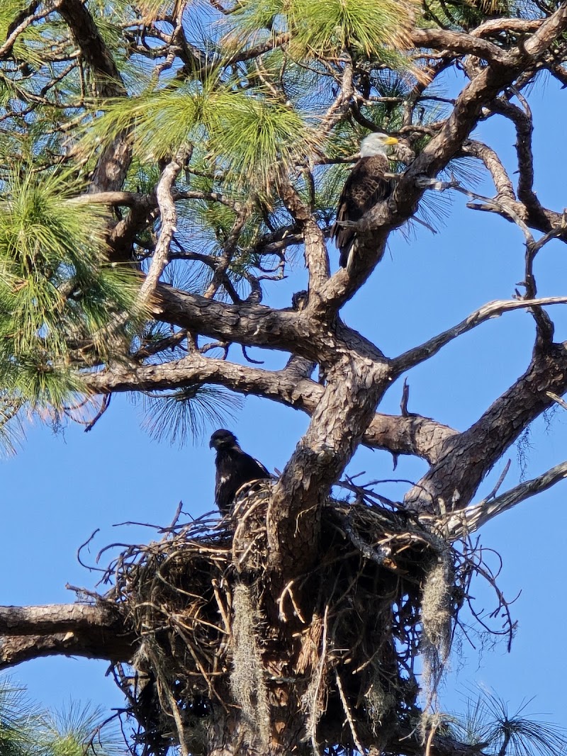 Coastal Anclote Trail photo 4