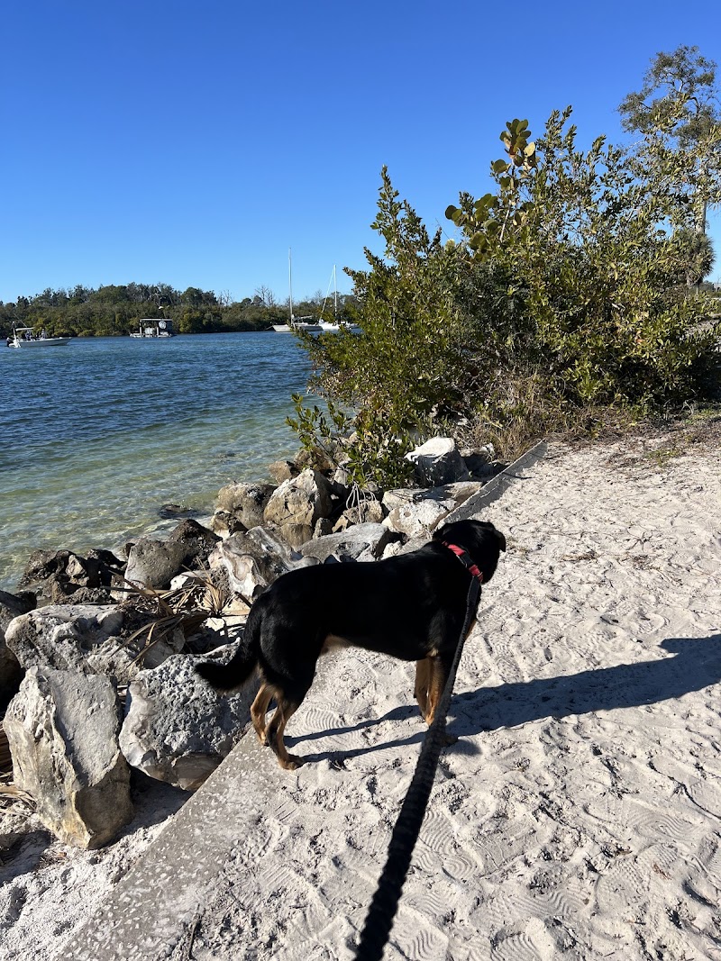 Coastal Anclote Trail photo 2