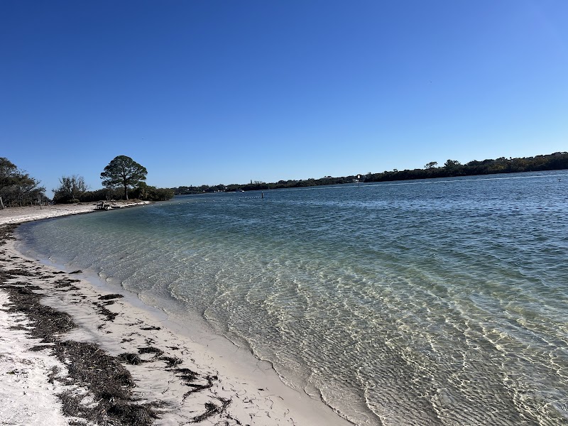 Coastal Anclote Trail photo 3