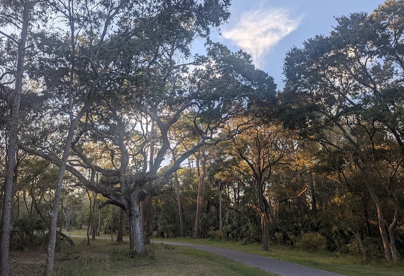 Photo of Coastal Anclote Trail