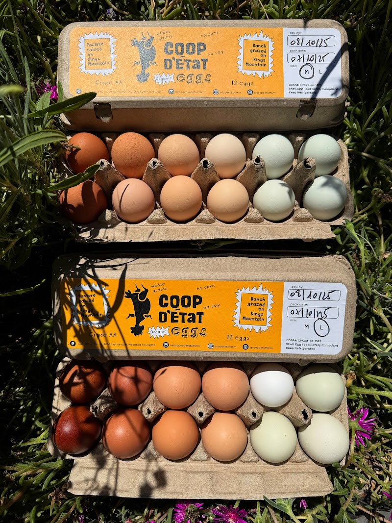 Coop d'Etat farm photo 3