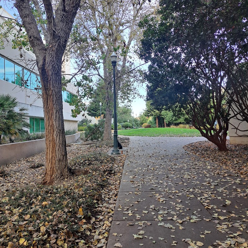 Photo of Emeryville Greenway & Grassy Knoll