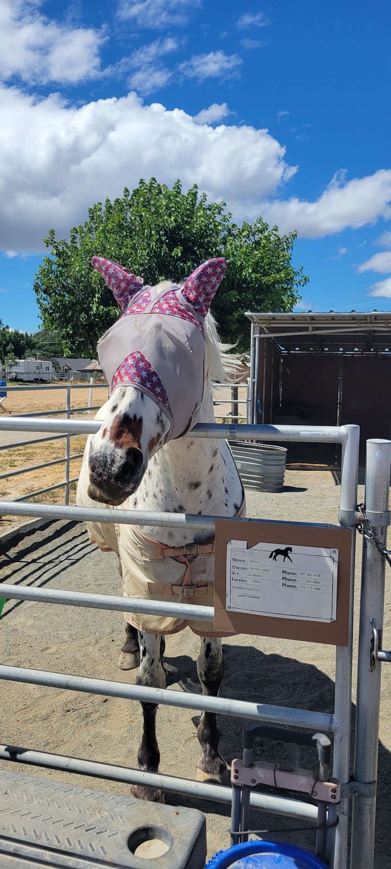 Marsh Creek Stables photo 5