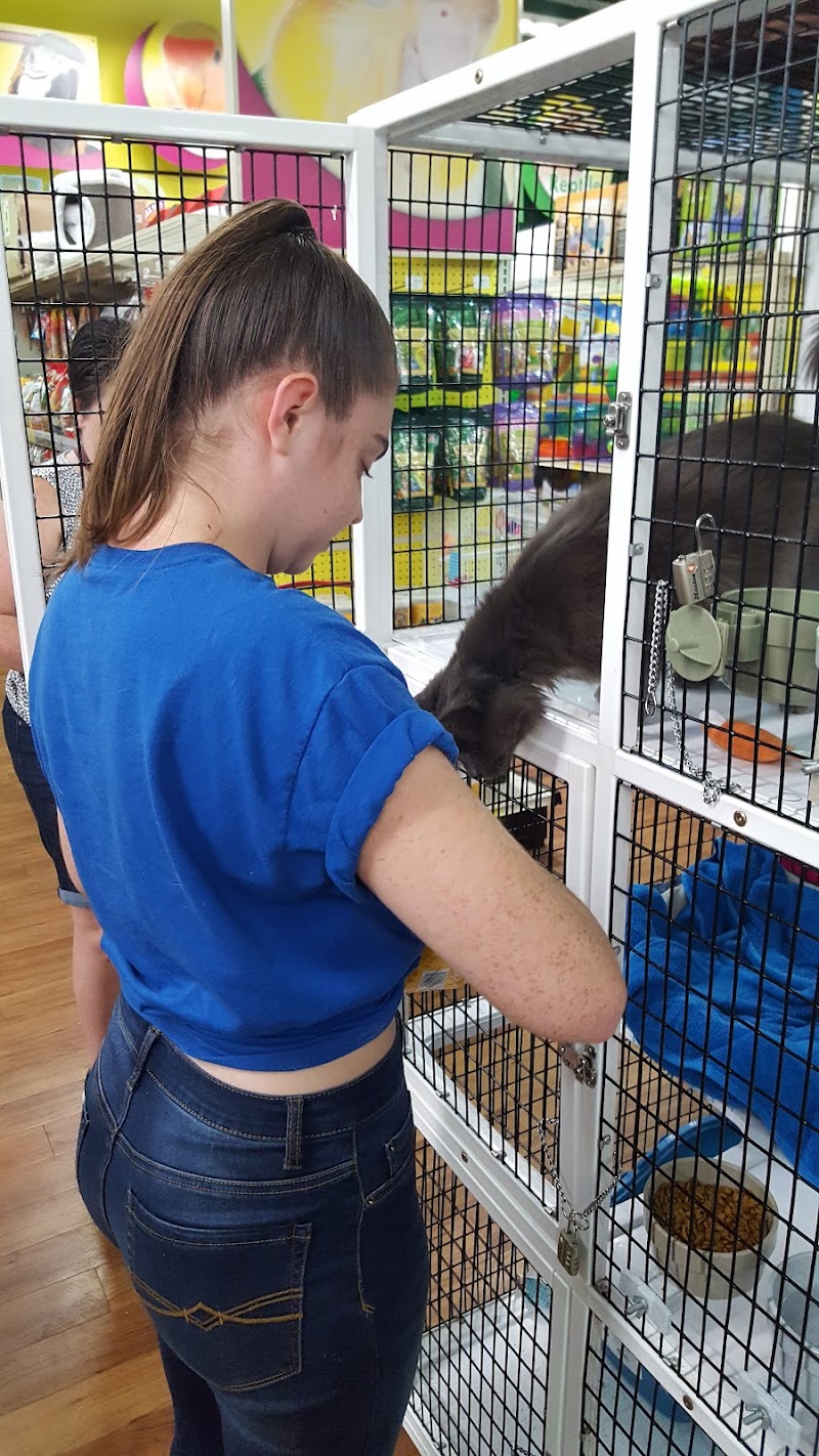 Pet Supermarket photo 3