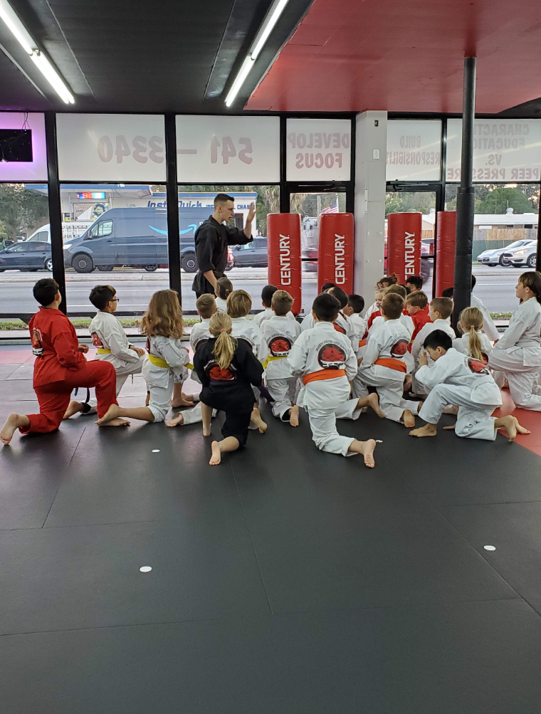 Bushido Karate Academy photo 3