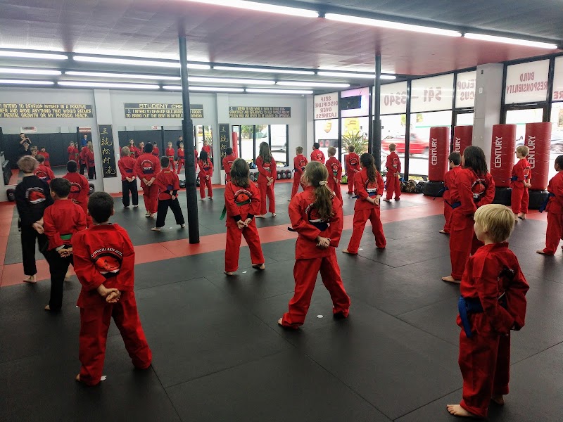 Bushido Karate Academy photo 4