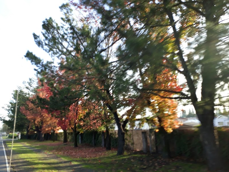 Windsor Mobile Country Club photo 5