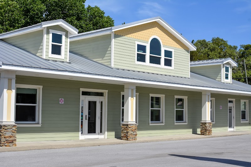 Photo of Cat Hospital At Palm Harbor