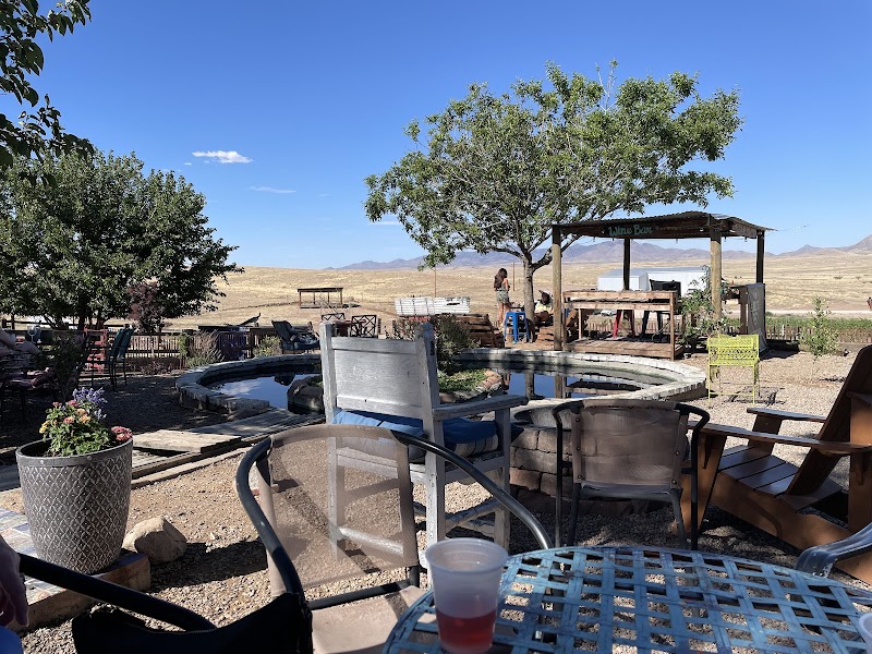 Arizona Hops and Vines photo 3