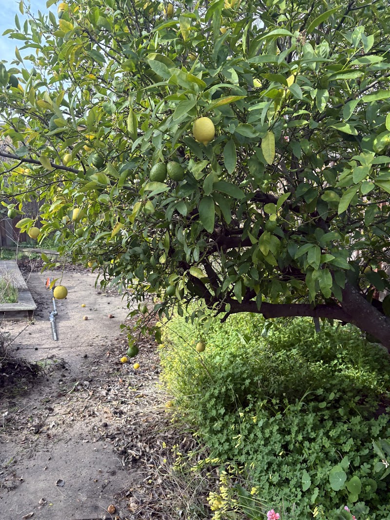 Keys garden irrigation photo 5
