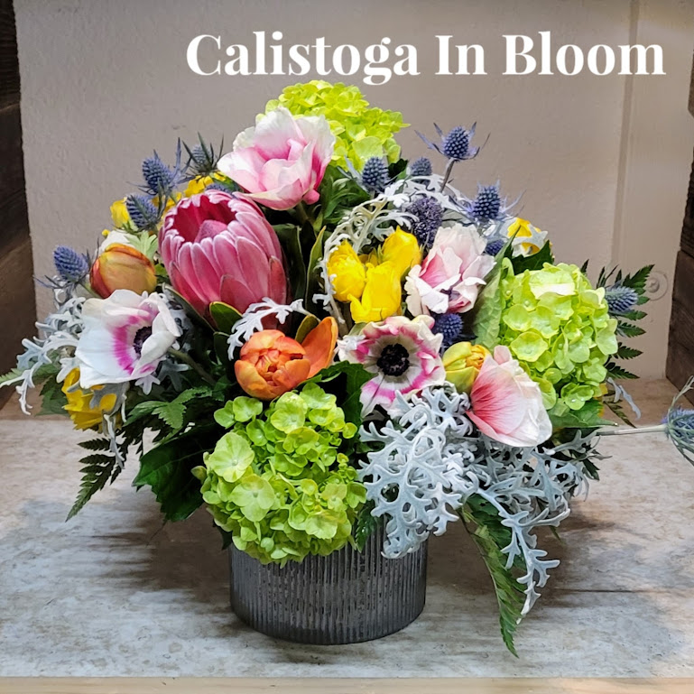 SoCo In Bloom photo 5