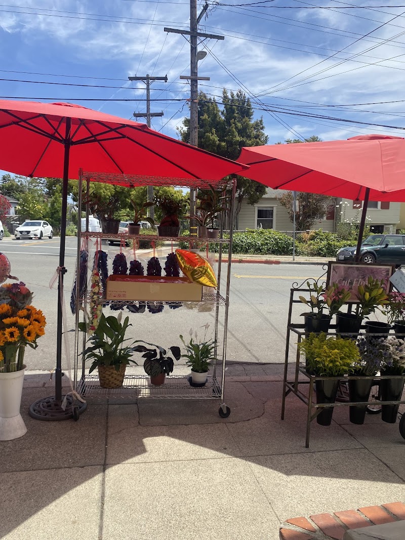 Golden Poppy Florist 2 photo 3
