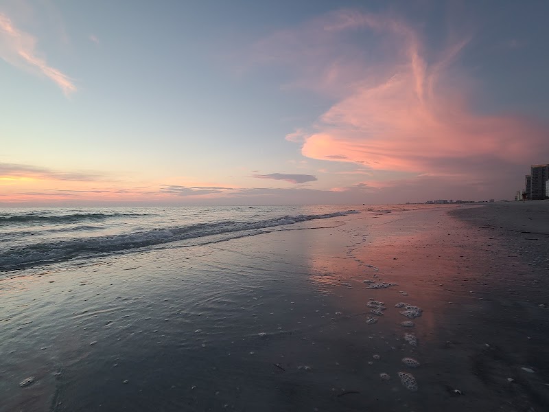 Photo of City of Belleair Beach Marina