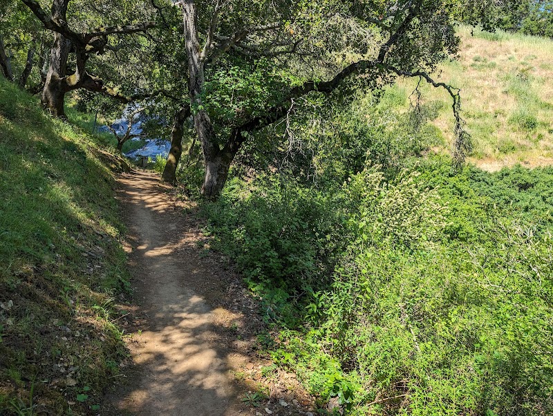 Big Canyon Park photo 3