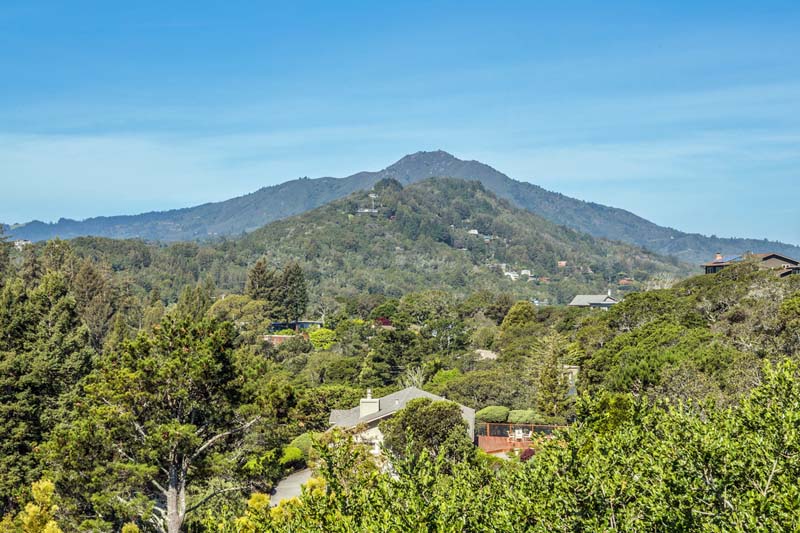 Madeline Schaider Real Estate photo 2