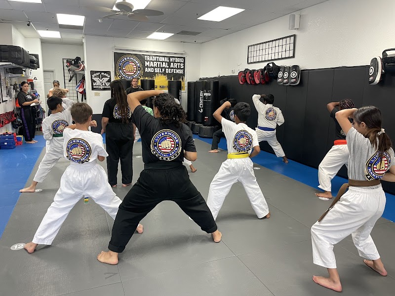 Livermore Martial Arts Academy, LLC photo 2