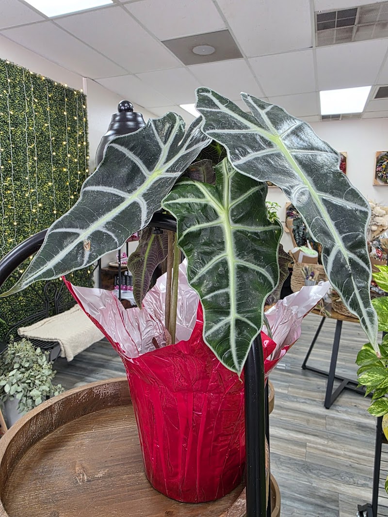 Garden Boutique photo 5