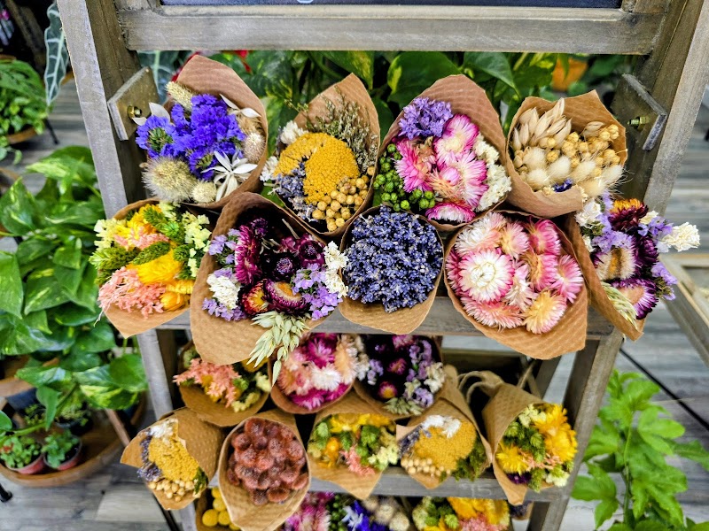 Photo of Garden Boutique