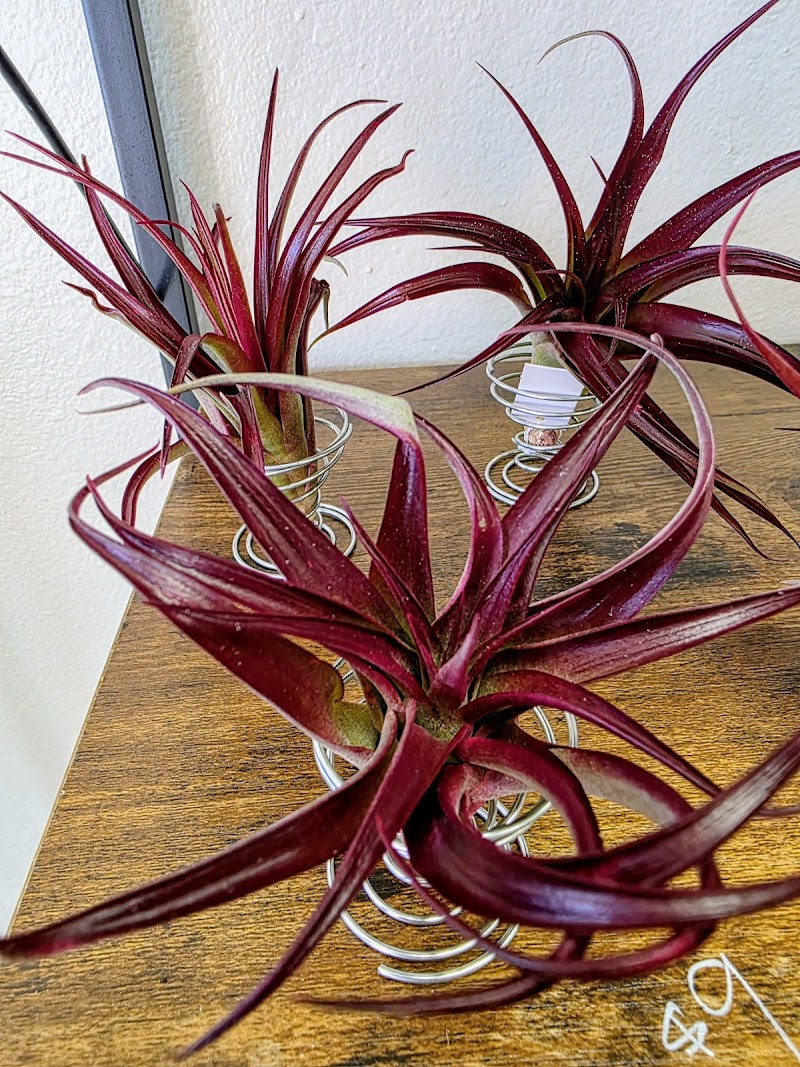 Garden Boutique photo 4