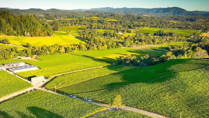 Photo of Dutton-Goldfield Winery