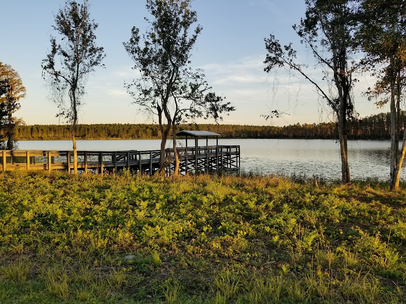 Lake Louisa State Park photo 2