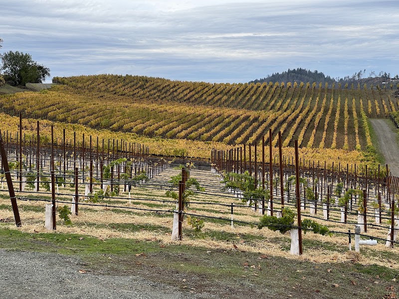 Pride Mountain Vineyards photo 2