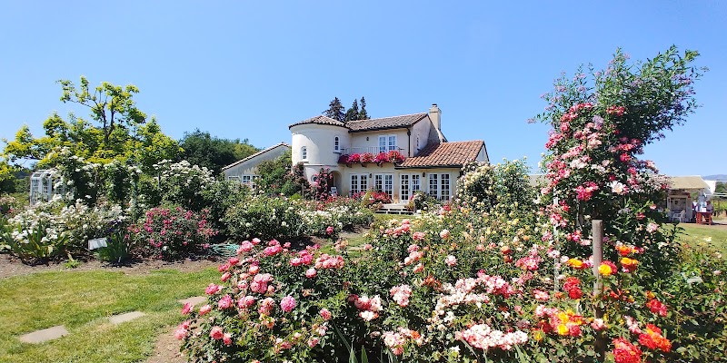 Photo of Russian River Rose Co