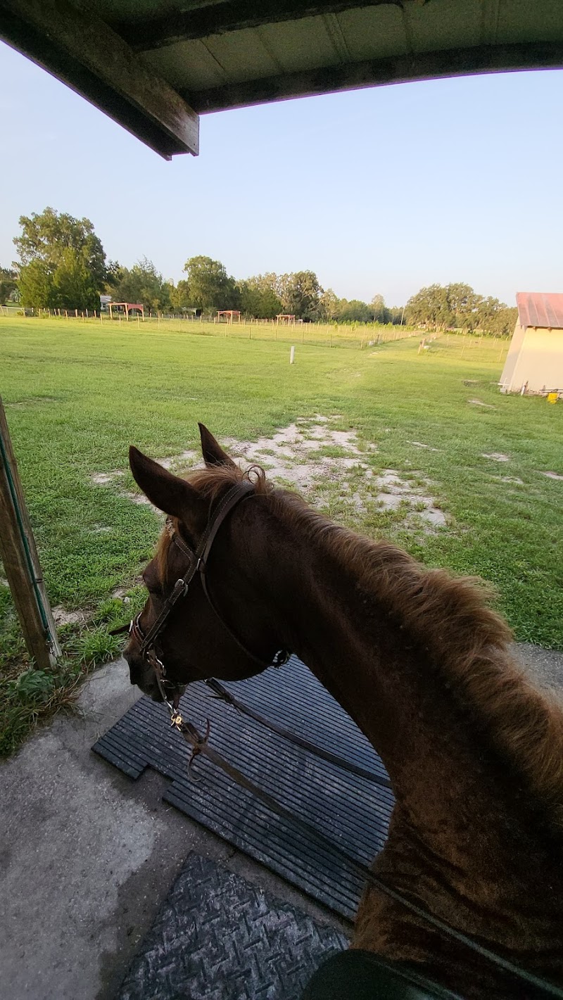 Photo of Peaceful Pastures Ranch & Therapy