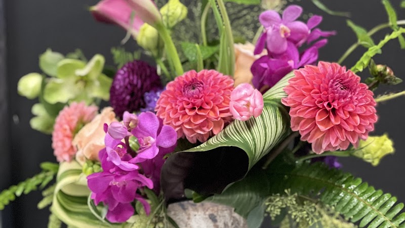 Stems, Floral & Interior Statements photo 2