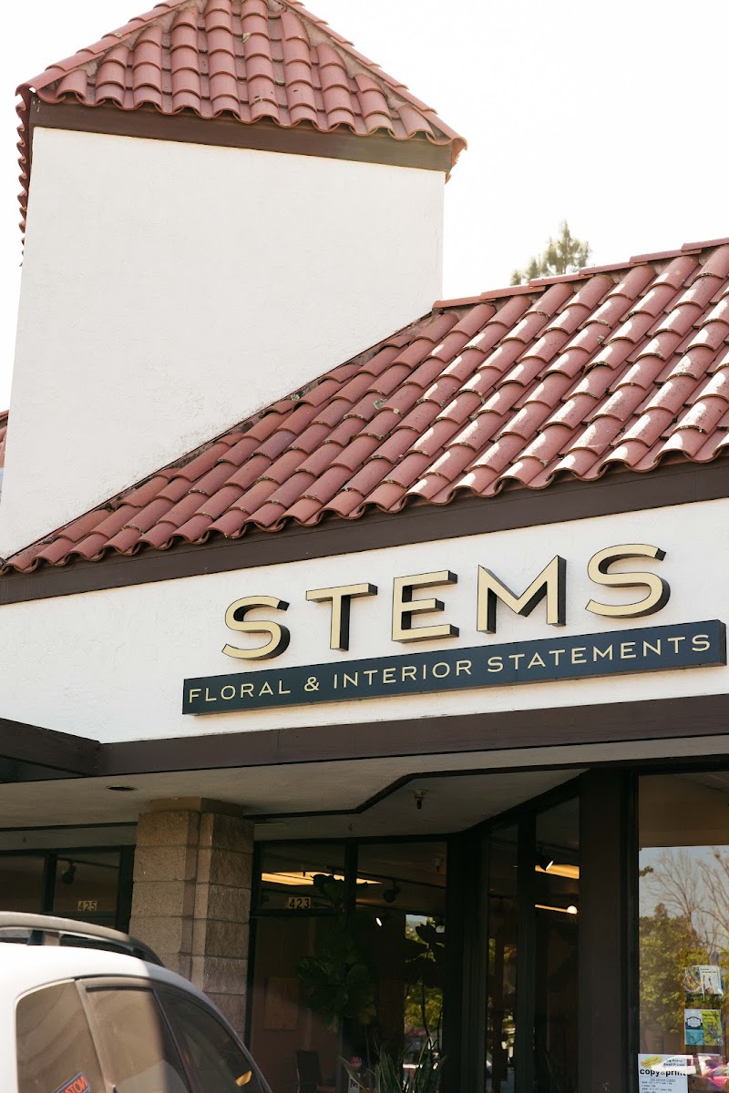 Photo of Stems, Floral & Interior Statements