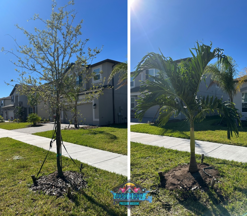 Just A Guy Exterior Services LLC photo 4